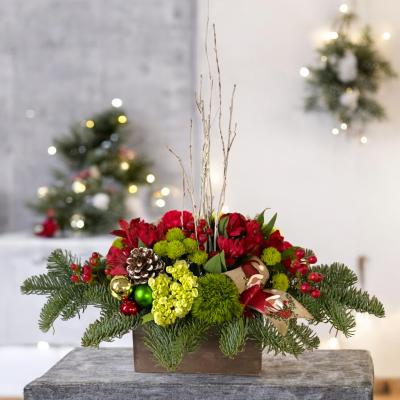 Gnome for the Holidays